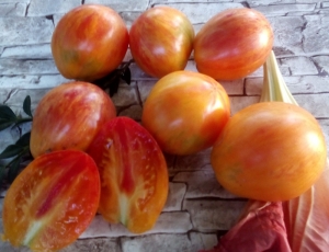 Семена сорта томата Kozula 141 Pleated Oxheart (Козула 141 Гофрированное Бычье Сердце) - Полосатые