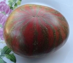 . Kozula 138 (Козула 138) 