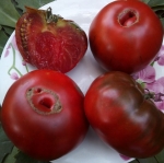 . Lady Brown (Леди Браун)