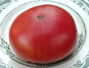 Семена томата сорта Malinowy 1955 (Розовый 1955) - Гиганты розовые