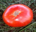 . Martian Giant (Марсианский гигант)