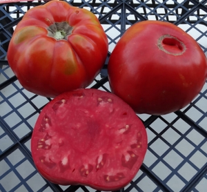 Семена сорта томата Mega Marv - Супер – гиганты