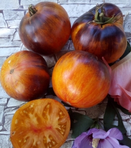 Семена томата сорта Merk Rokey (Мерк Рокей) - Гиганты двуцветные