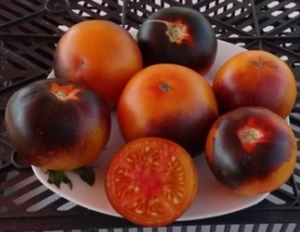 Семена томата сорта Orange Blue - Синие