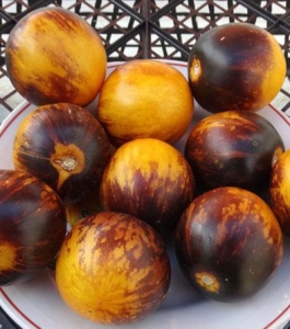 Семена томата Primary Colors (Основные цвета) - синие