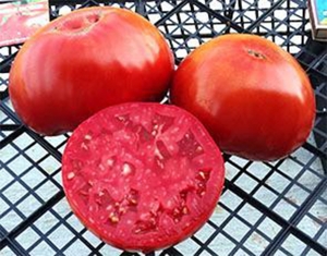 Семена томата сорта Puszta kolosz - Гиганты красные