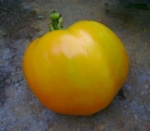 . Rabideau (Рабидо)