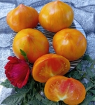 . Rainbow Jazz Heart (Радужный джаз сердце)