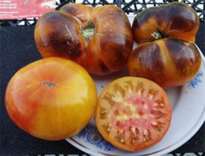 Семена томата сорта Rainbow Siberian (Сибирская радуга) - Синие