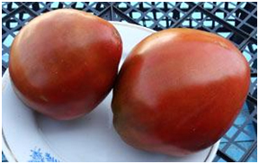 Семена томата сорта Reinhard Chocolate Heart (Шоколадное сердце Рейнхарда) - Шоколадные