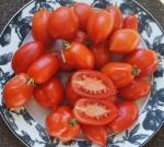 . Re Umberto (Ре Умберто)