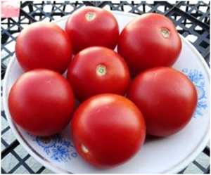 Семена томата сорта Seider - Высокорослые округлые и плоско-округлые