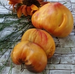 Семена томата сорта Sgt. Peppers Bicolor (Сержант Пеппер биколор) - Синие