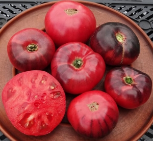 Семена томата сорта Siberian Tiger Claws (Когти сибирского тигра) - Синие