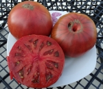 . Siniy (Синий) 