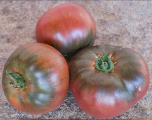 Семена сорта томата Violet Noir (Черно-фиолетовый) - Шоколадные