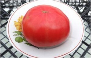 Семена томата сорта Watermelon Big (Арбуз Большой) - Гиганты красные