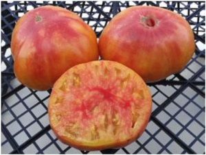 Семена томата сорта Wherokowhai - Гномы