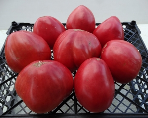 Семена томата сорта Чудо (Wonderwork) - Гиганты сердцевидные