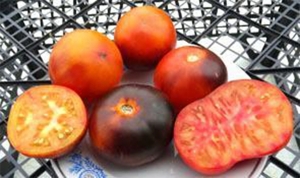 Семена томата сорта Yellow Dragon (Желтый дракон) - Синие