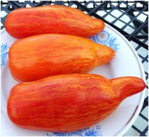 Семена томата сорта Yellow Fire (Желтый огонь) - Длинноплодные