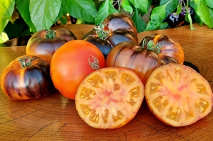 Семена томата сорта Ananas Bleue Lignee (Линия Голубого Ананаса) - Синие