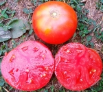 . Coorong Pink (Кооронг Пинк)