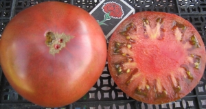 Семена сорта томата Морадо - Шоколадные