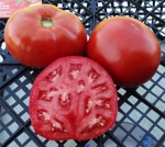 . Rogero (Роджеро)